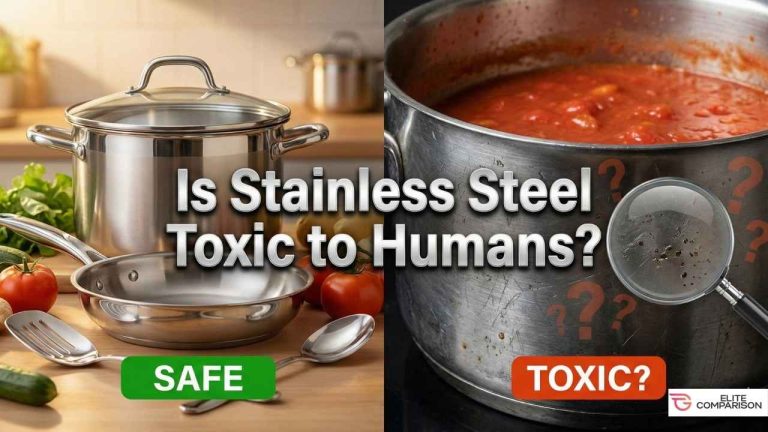 Is Stainless Steel Toxic to Humans