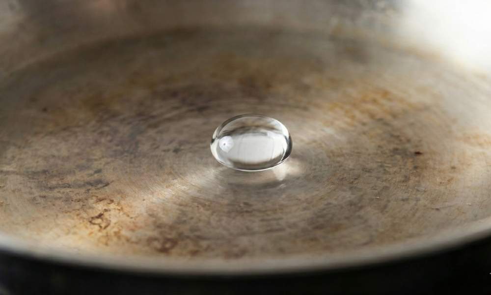 The Leidenfrost Effect